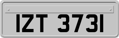 IZT3731