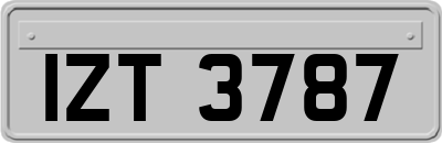 IZT3787