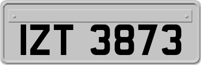 IZT3873