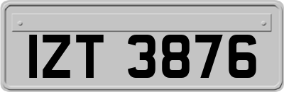 IZT3876
