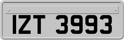 IZT3993