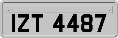 IZT4487