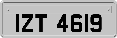 IZT4619