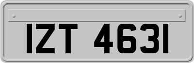 IZT4631