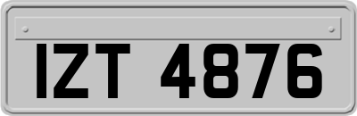 IZT4876