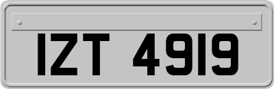 IZT4919
