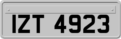 IZT4923
