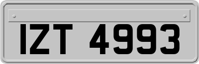 IZT4993