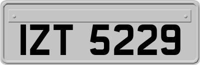 IZT5229