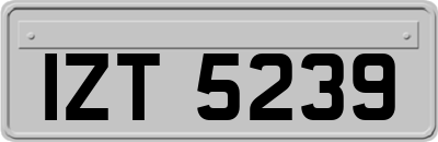IZT5239