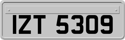 IZT5309