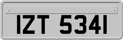 IZT5341