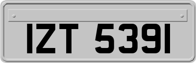 IZT5391