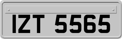 IZT5565
