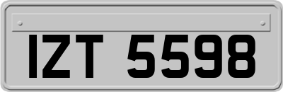 IZT5598