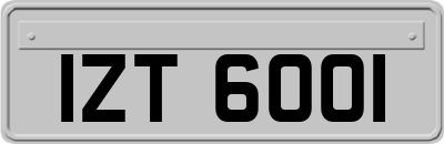 IZT6001