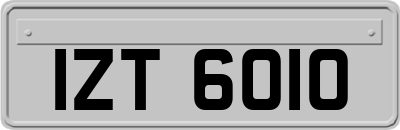 IZT6010