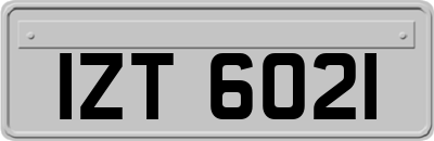 IZT6021