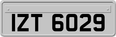 IZT6029