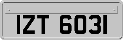 IZT6031