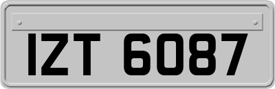 IZT6087