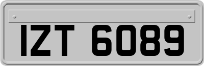 IZT6089