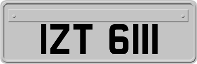 IZT6111
