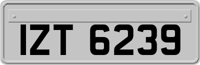 IZT6239