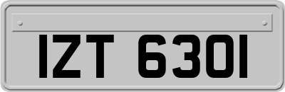 IZT6301