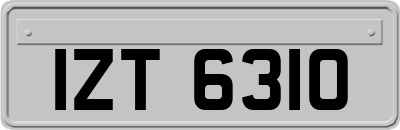IZT6310