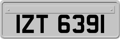 IZT6391