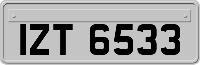 IZT6533