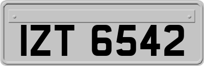 IZT6542