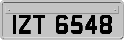 IZT6548