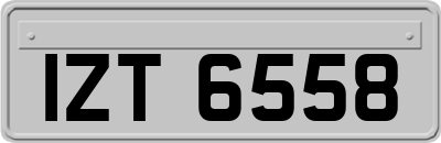 IZT6558
