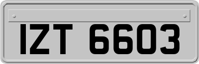 IZT6603