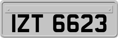 IZT6623