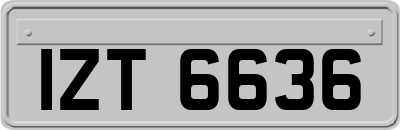 IZT6636