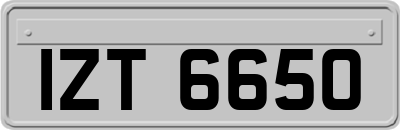 IZT6650