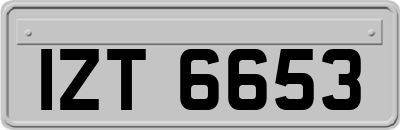 IZT6653