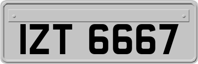 IZT6667