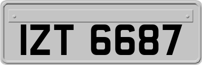 IZT6687