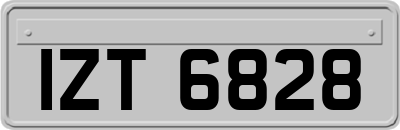 IZT6828