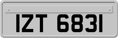 IZT6831