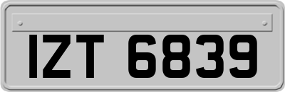 IZT6839