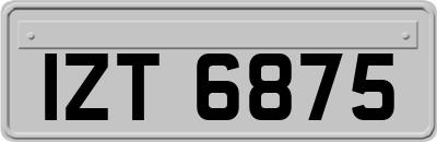 IZT6875