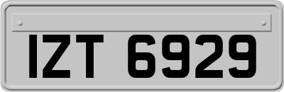 IZT6929