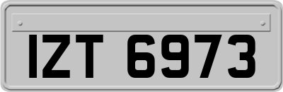 IZT6973