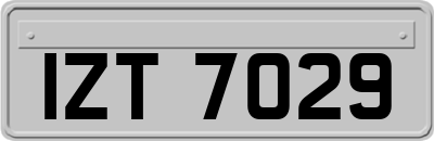 IZT7029