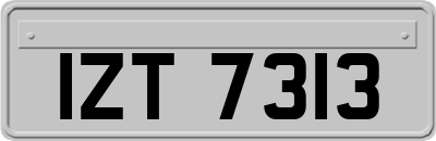IZT7313